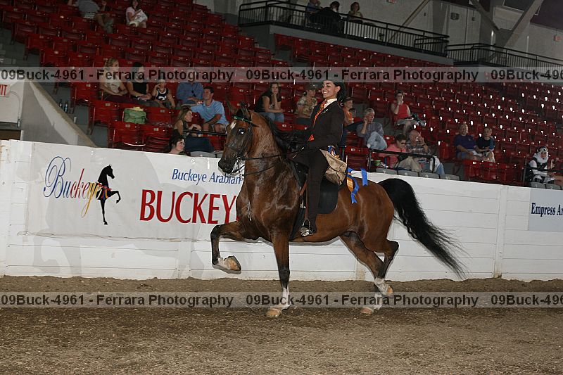 Proof Number 09buck-4961