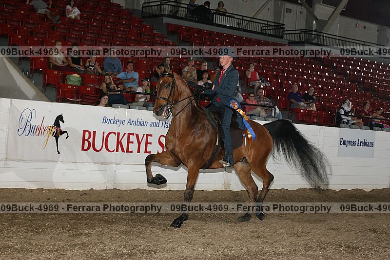 Proof Number 09buck-4969