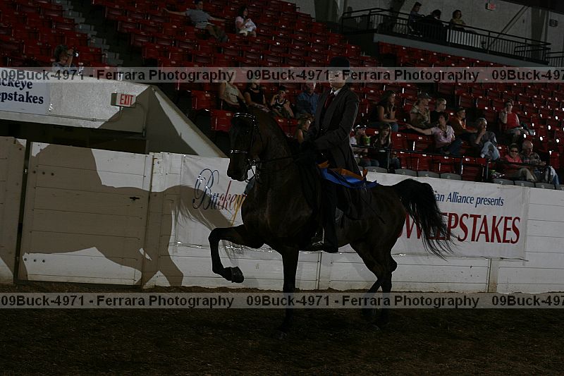 Proof Number 09buck-4971
