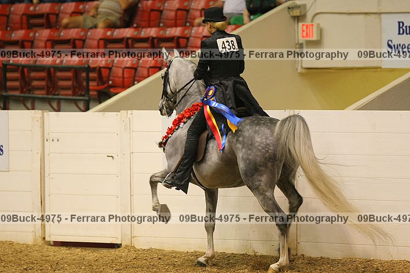 Proof Number 09buck-4975