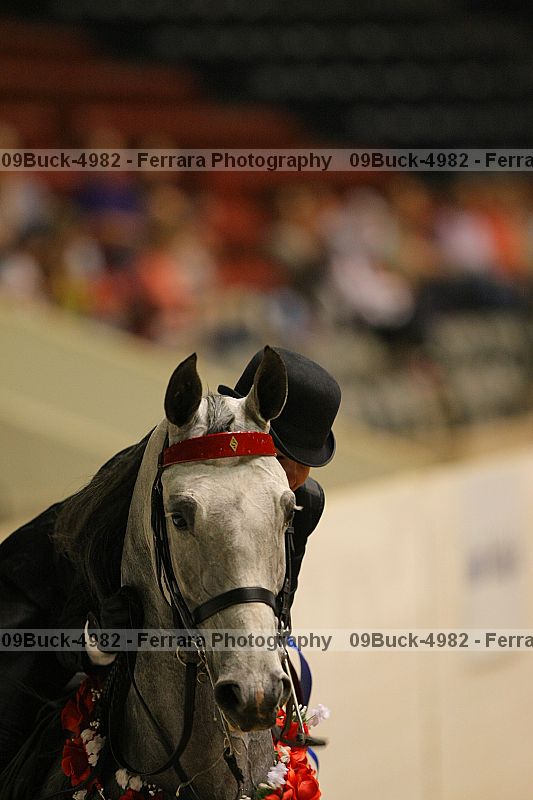 Proof Number 09buck-4982
