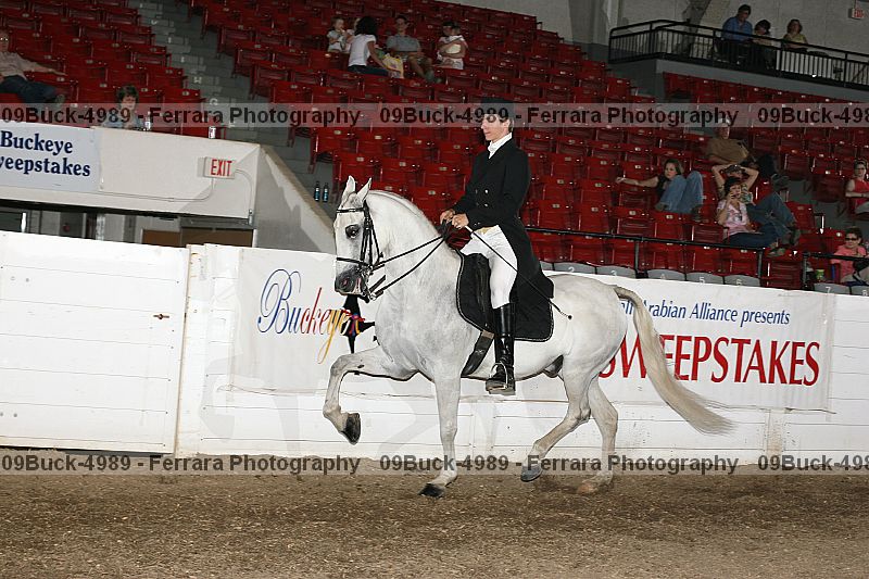 Proof Number 09buck-4989