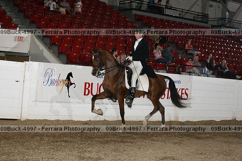 Proof Number 09buck-4997