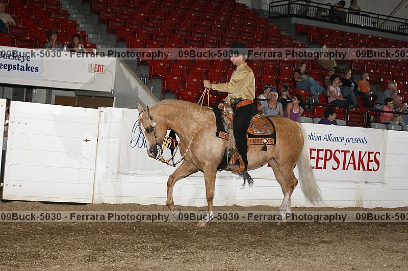 Proof Number 09buck-5030