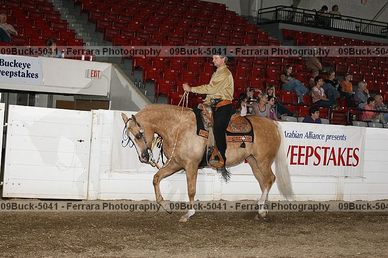 Proof Number 09buck-5041