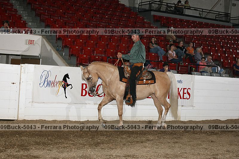 Proof Number 09buck-5043