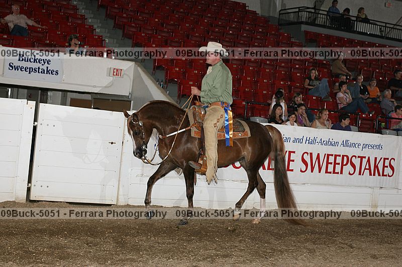 Proof Number 09buck-5051