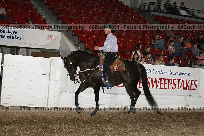 Proof Number 09buck-5054