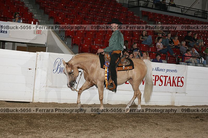 Proof Number 09buck-5056