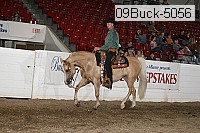 09buck-5056 thumbnail