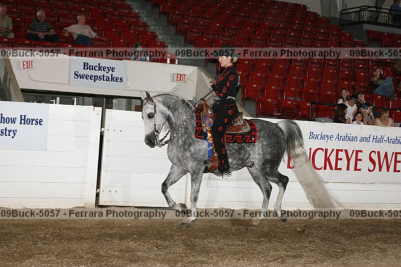 Proof Number 09buck-5057
