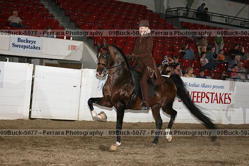 Proof Number 09buck-5077