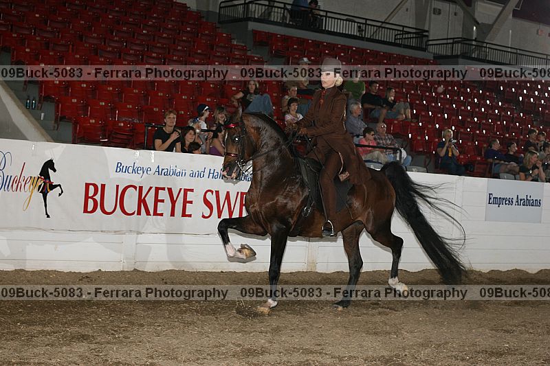 Proof Number 09buck-5083