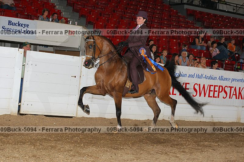 Proof Number 09buck-5094