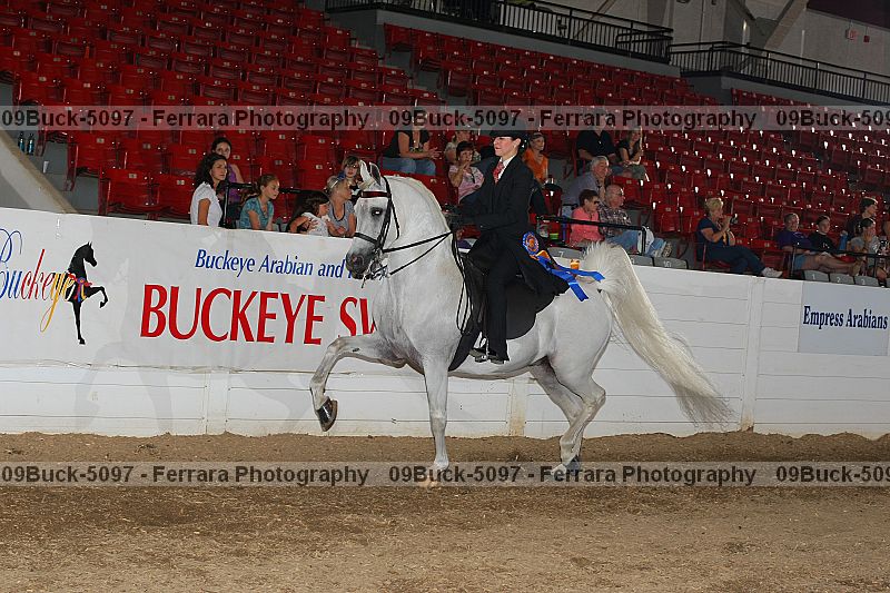 Proof Number 09buck-5097