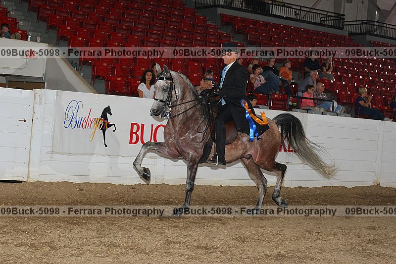 Proof Number 09buck-5098