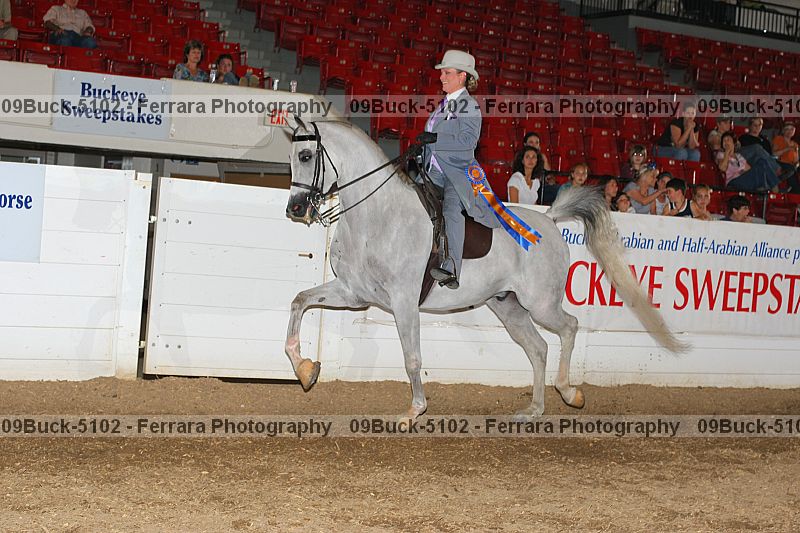 Proof Number 09buck-5102