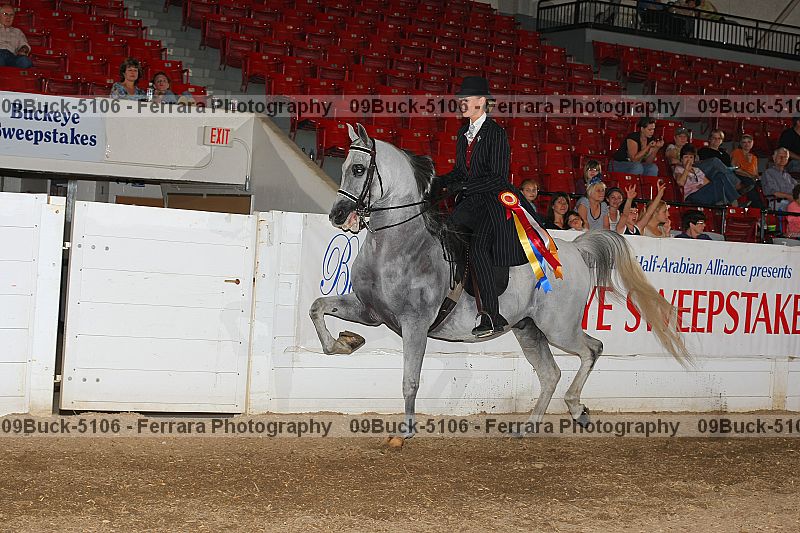 Proof Number 09buck-5106