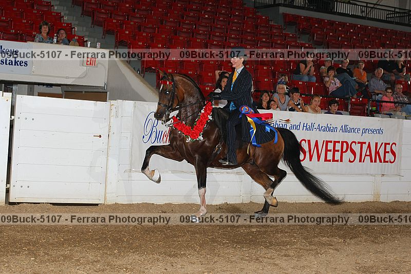 Proof Number 09buck-5107