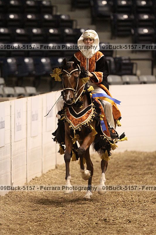 Proof Number 09buck-5157