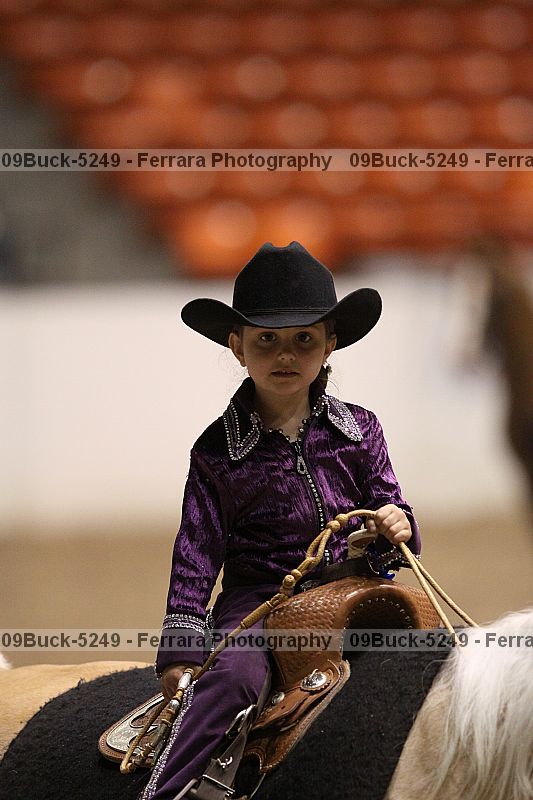 Proof Number 09buck-5249