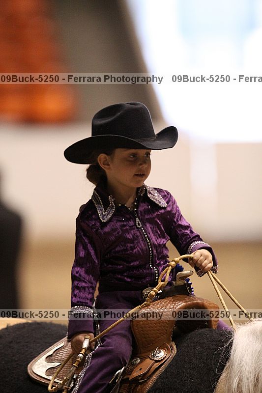 Proof Number 09buck-5250