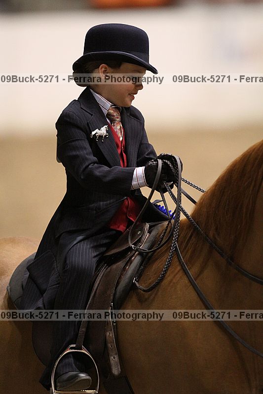 Proof Number 09buck-5271