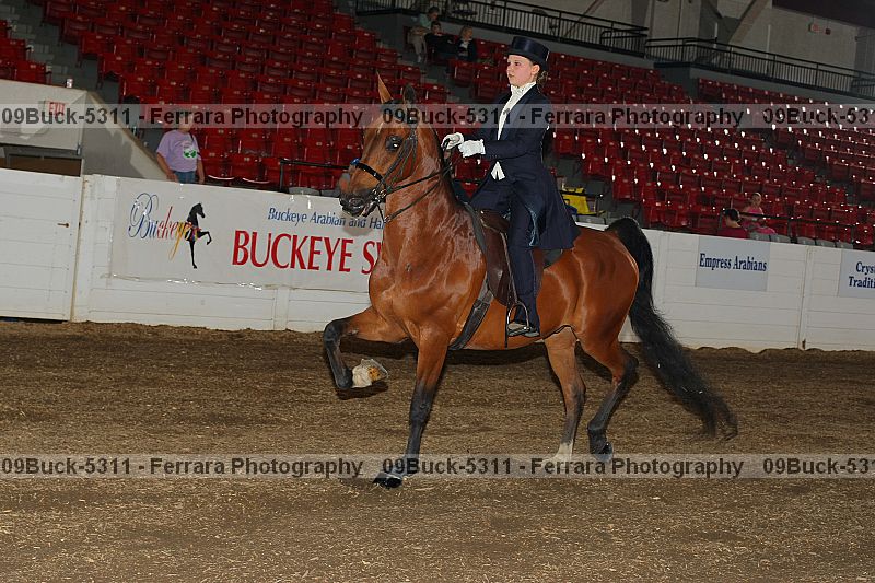 Proof Number 09buck-5311
