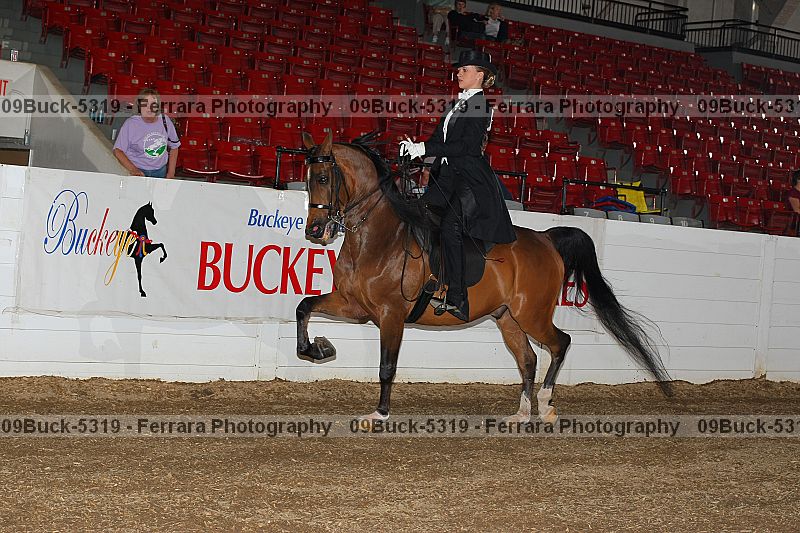 Proof Number 09buck-5319