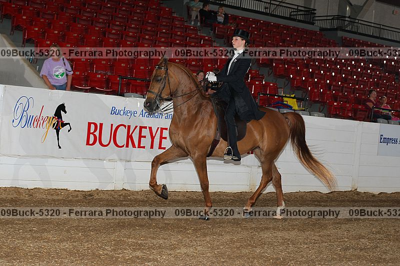 Proof Number 09buck-5320
