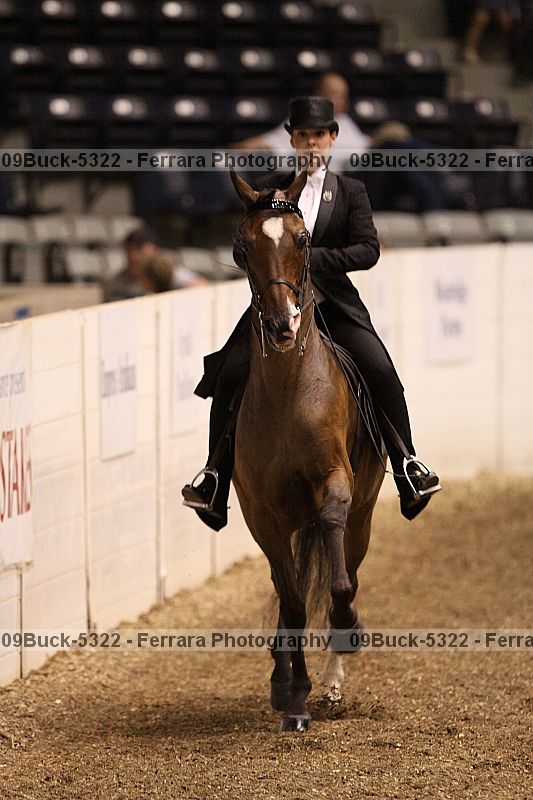 Proof Number 09buck-5322