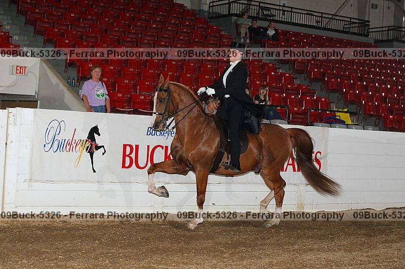 Proof Number 09buck-5326