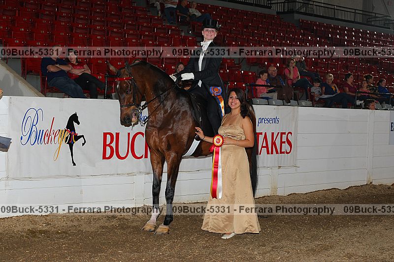 Proof Number 09buck-5331