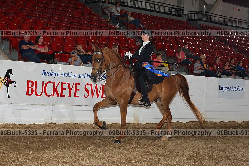 Proof Number 09buck-5335