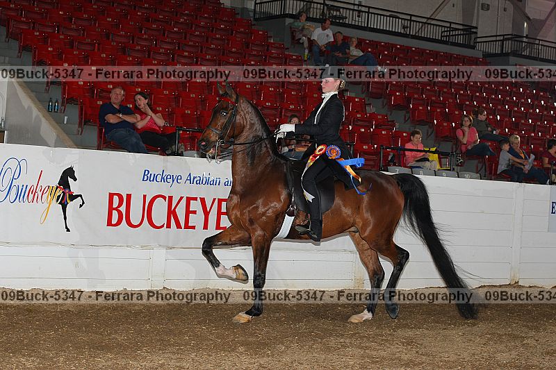 Proof Number 09buck-5347