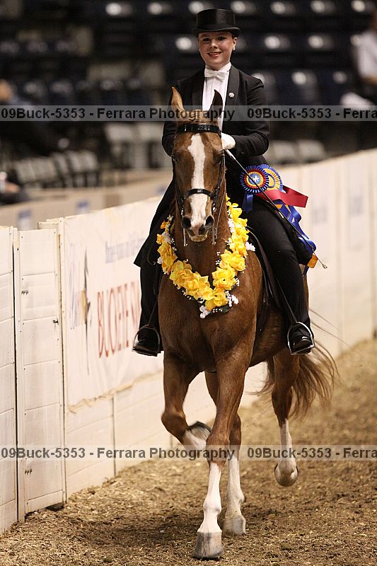 Proof Number 09buck-5353