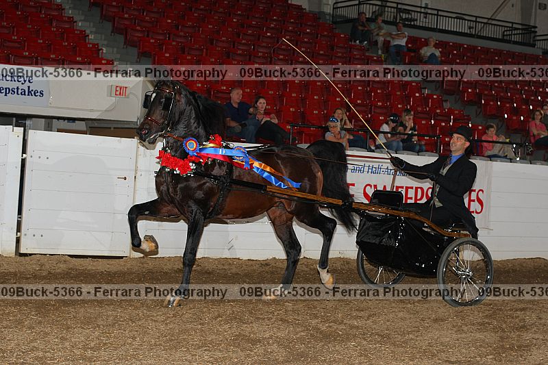 Proof Number 09buck-5366
