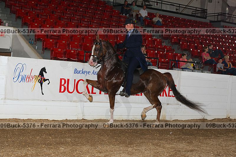Proof Number 09buck-5376