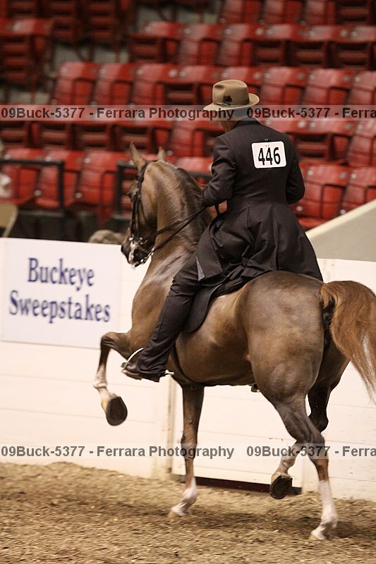 Proof Number 09buck-5377