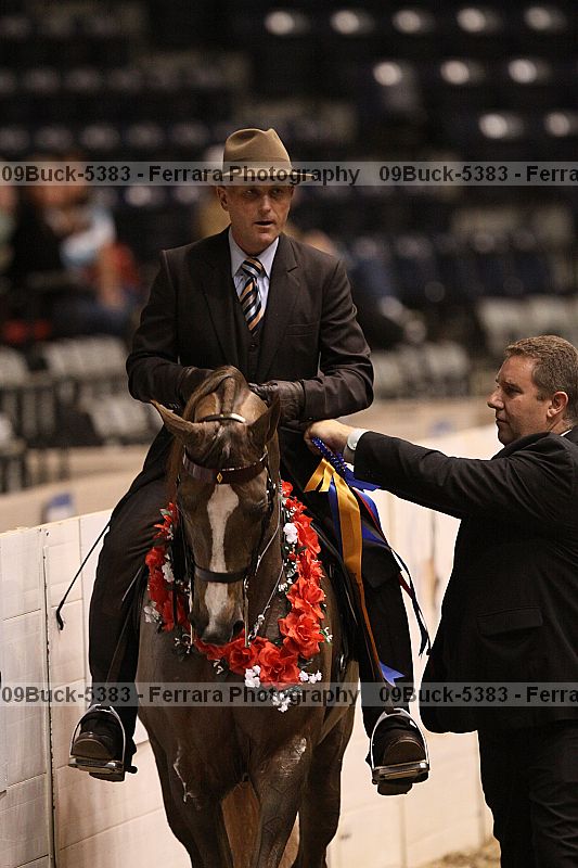 Proof Number 09buck-5383