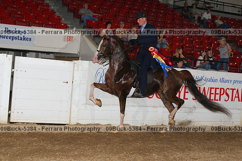 Proof Number 09buck-5384
