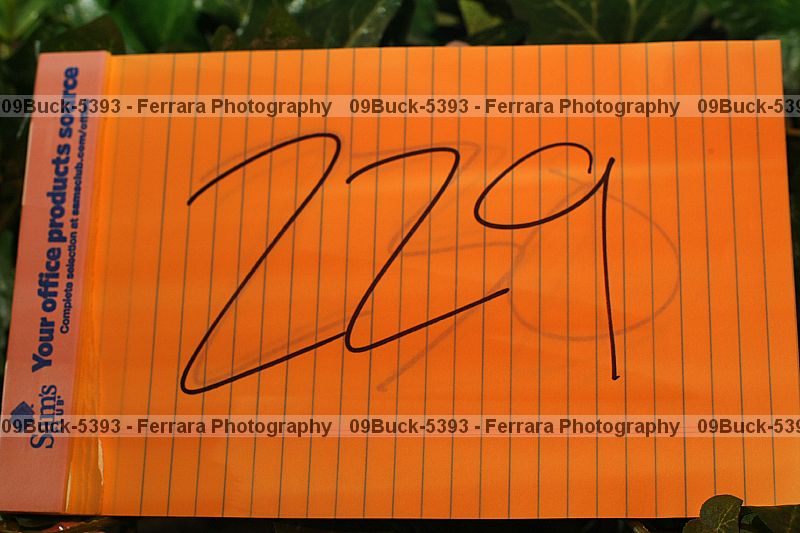 Proof Number 09buck-5393