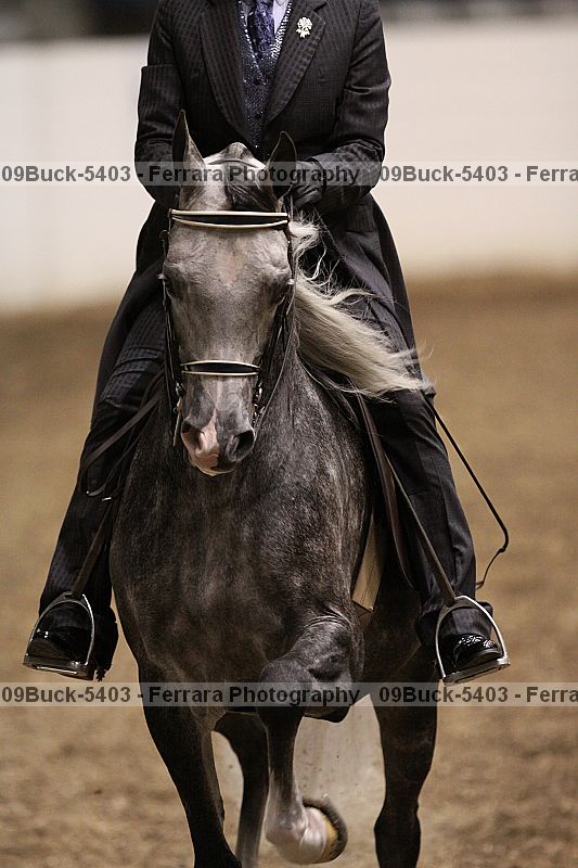 Proof Number 09buck-5403