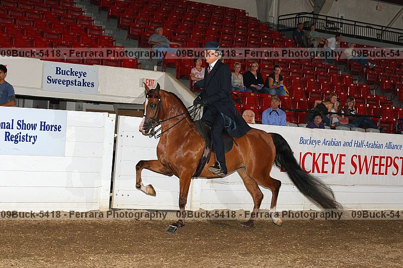 Proof Number 09buck-5418