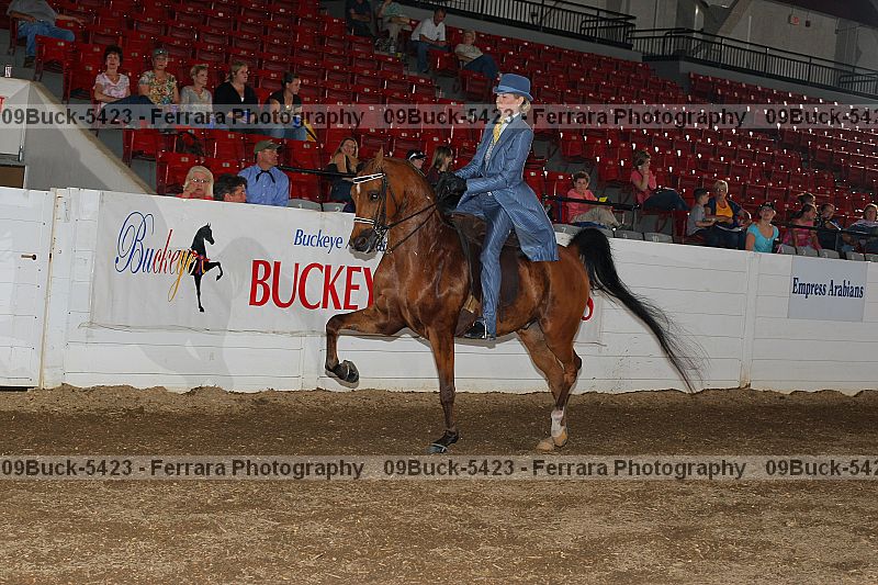 Proof Number 09buck-5423