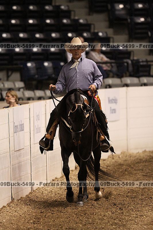 Proof Number 09buck-5499