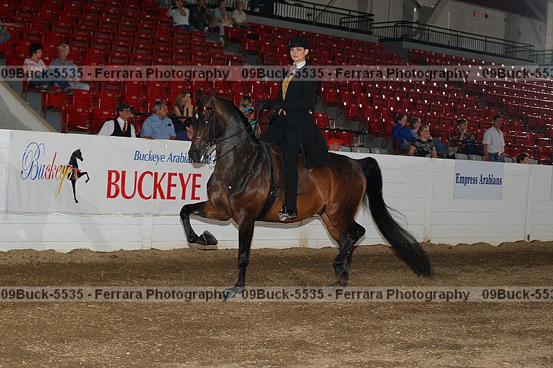Proof Number 09buck-5535