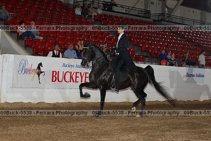 Proof Number 09buck-5538