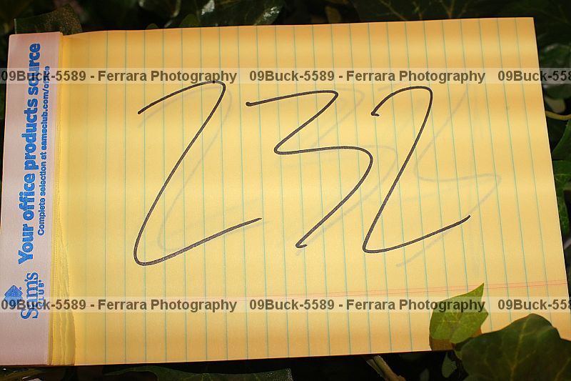 Proof Number 09buck-5589