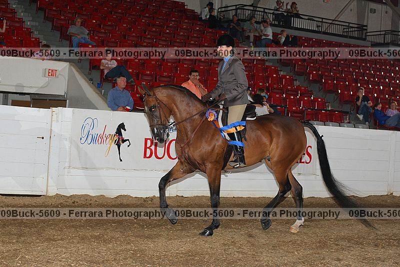 Proof Number 09buck-5609